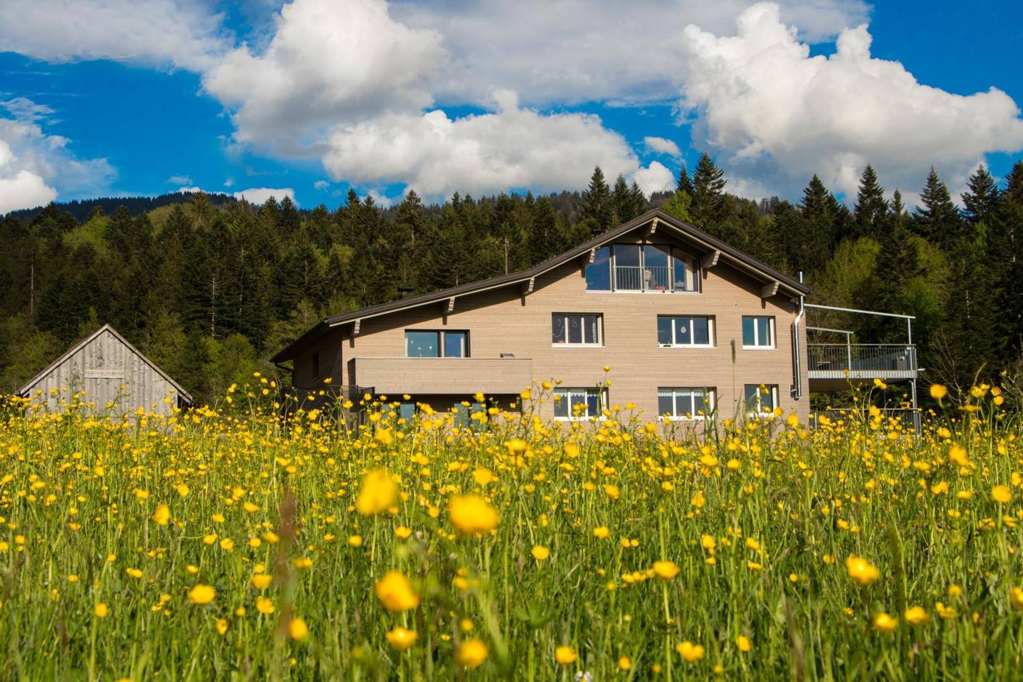 Apartmán Haus Feurstein Hittisau Exteriér fotografie