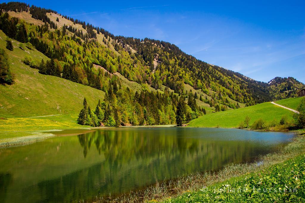 Apartmán Haus Feurstein Hittisau Exteriér fotografie